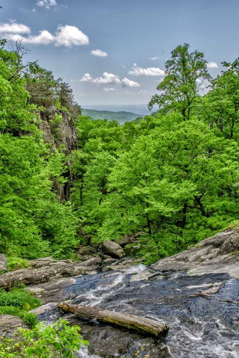 甜心vlog免费观看最新一期官方版下载-甜心vlog免费观看最新一期正版v1.3.5-视频动漫网站入口大全在线免费页面3