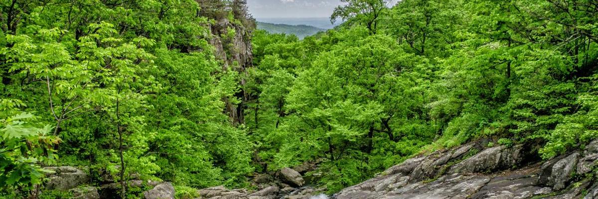 热门甜心vlog免费观看最新一期官方版下载-甜心vlog免费观看最新一期正版v1.3.5-视频动漫网站入口大全在线免费推荐